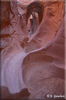 Im Innern der Gulch